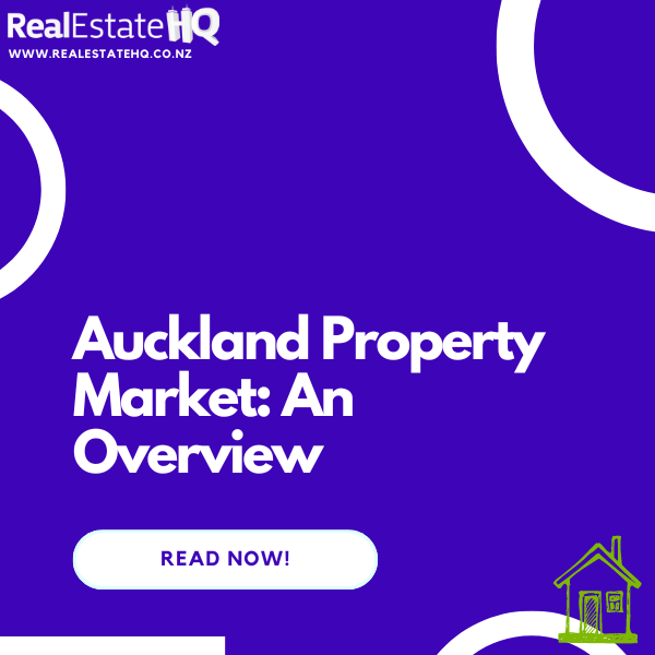 real estate hq featured image auckland housing market 14